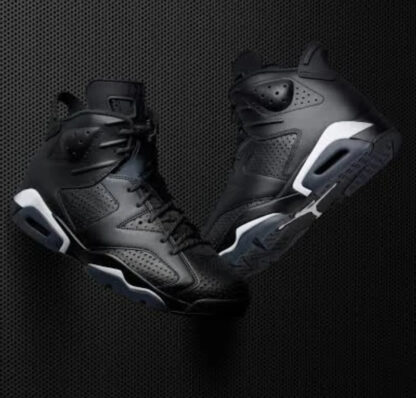 AIR JORDAN 6 RETRO “Cat” SNEAKER